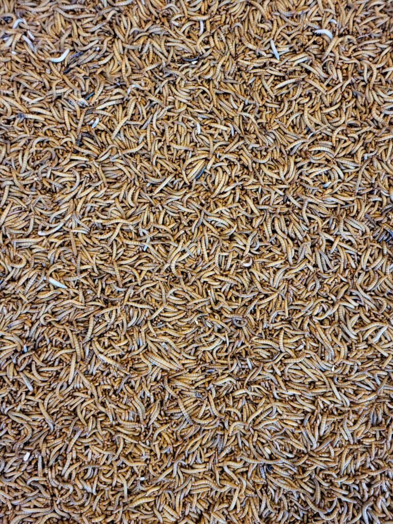 a close up of a pile of brown rice