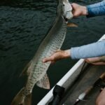 a man holding a large fish on a boat